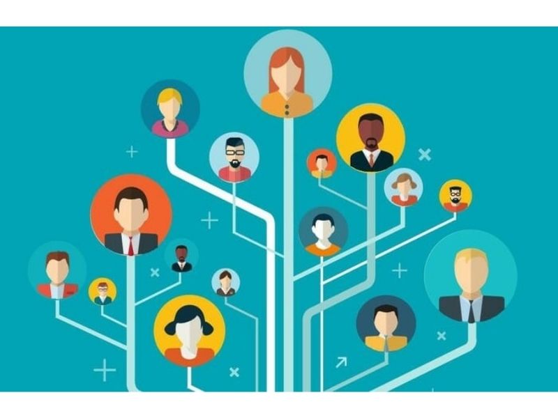 Cơ cấu tổ chức